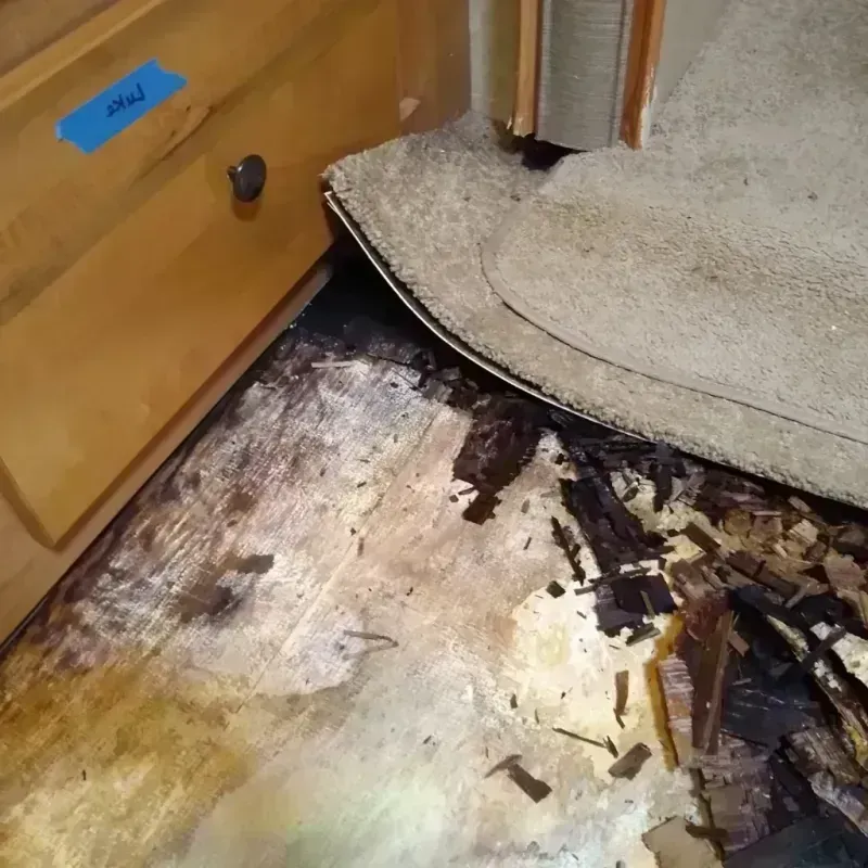 Wood Floor Water Damage in Arcadia, WI